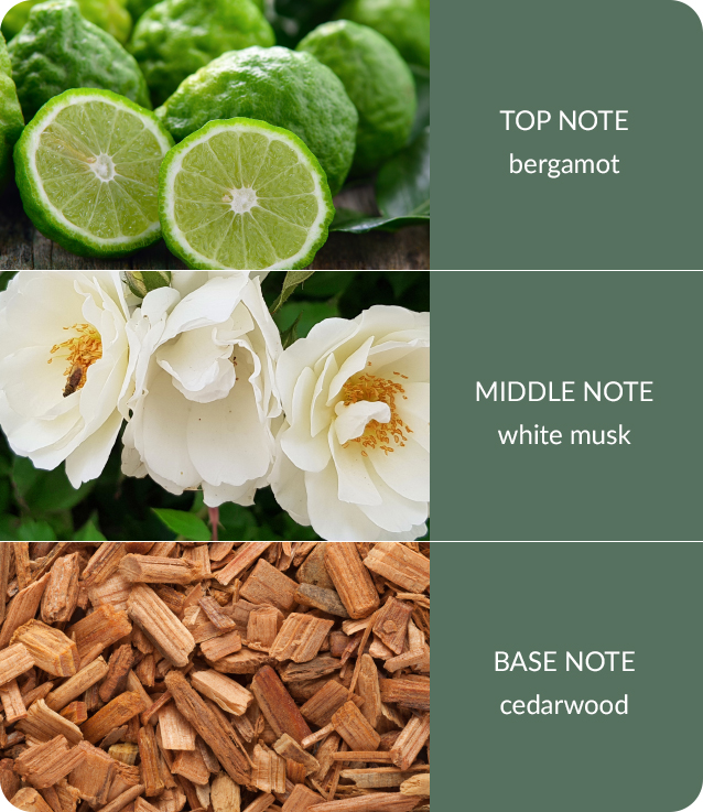 Cedarwood-White-Musk-1.jpg