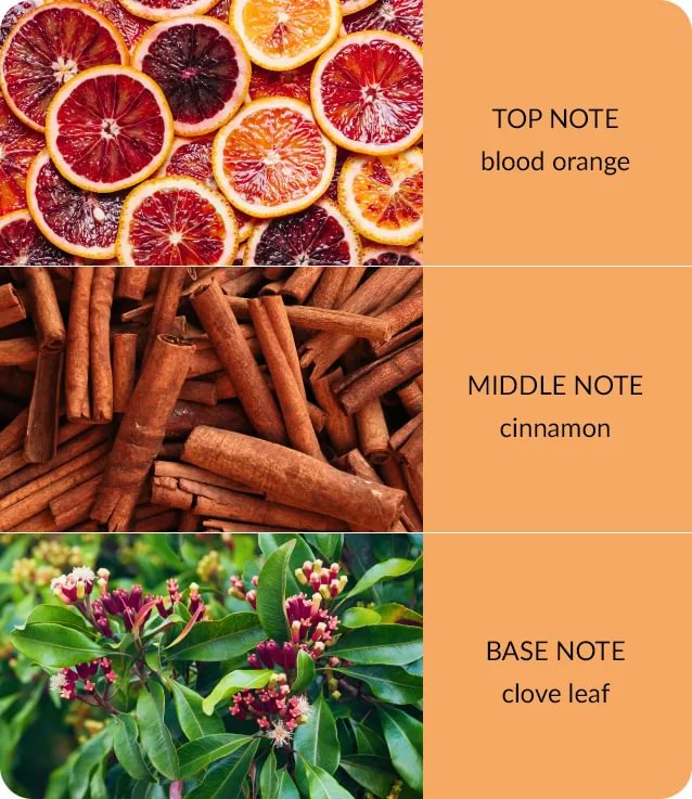 notes-bamboo-orange-zest-cloveoil-medium-3.jpg