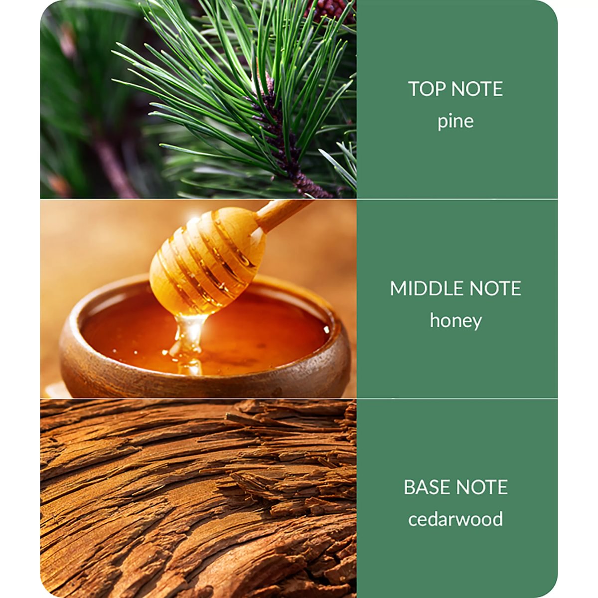 notes-christmas-tree-medium-3.jpg